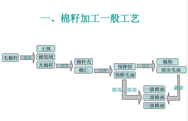 常見的幾種油料作物使用螺旋榨油機壓榨的工藝(上)