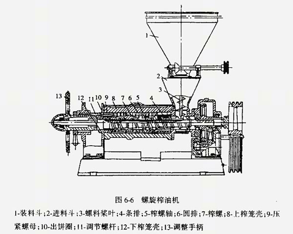 榨油機廠家教您如何解決榨油機不進料的現象？